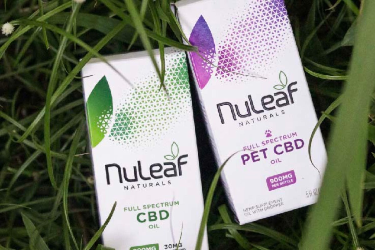 CBD Isolate vs Full Spectrum