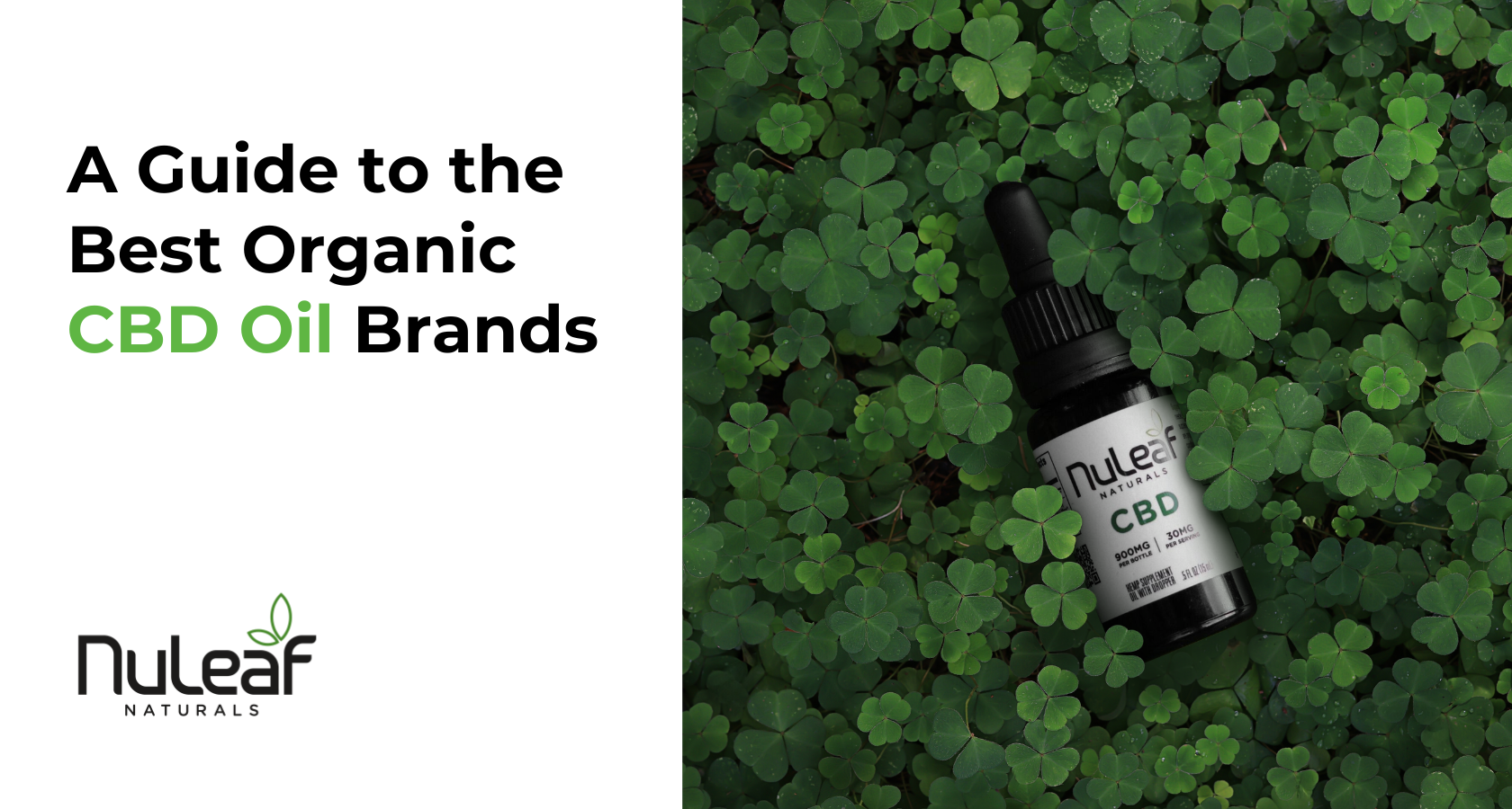 CBD OIL BRANDS
