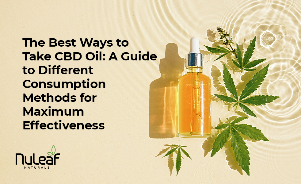 vape buying guide A Practical THC Vape Shopping Guide