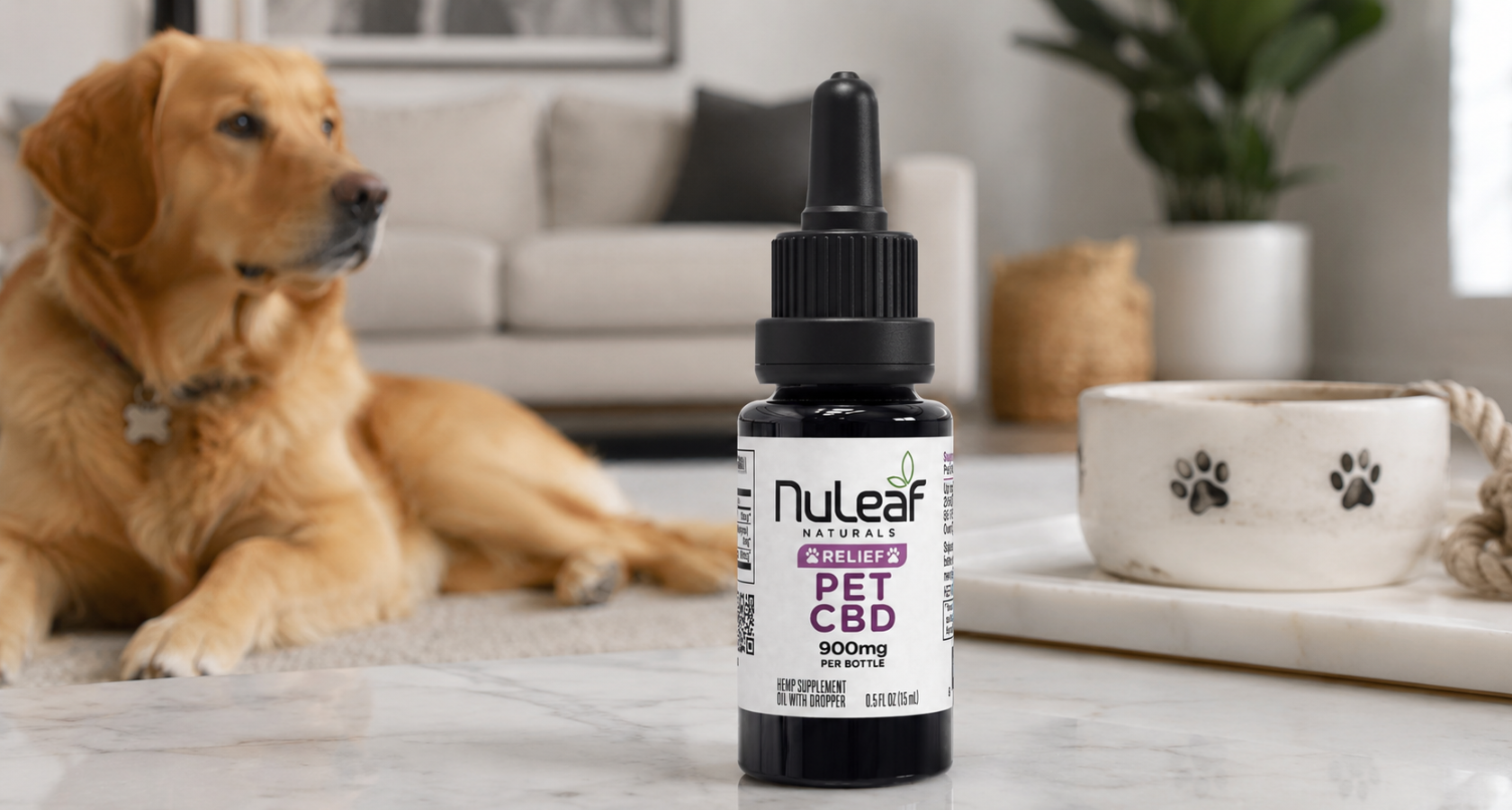 Best CBD Oil for Senior Dogs' Joint Mobility