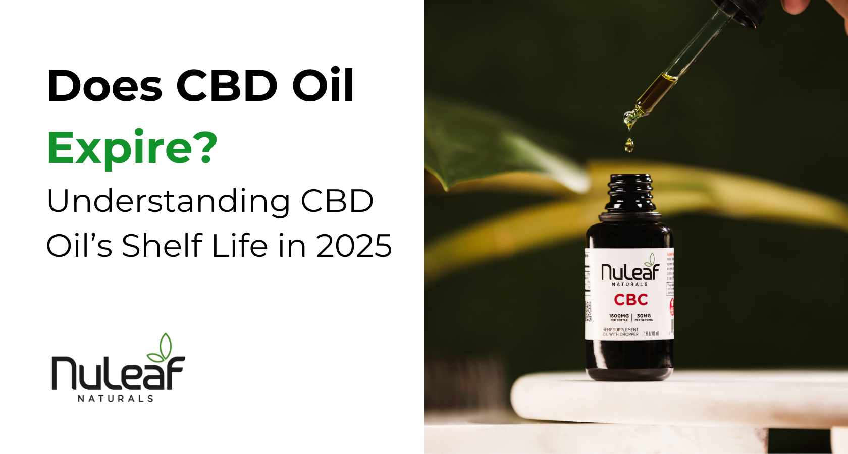 Does CBD Oil Expire? Understanding CBD Oil’s Shelf Life in 2025
