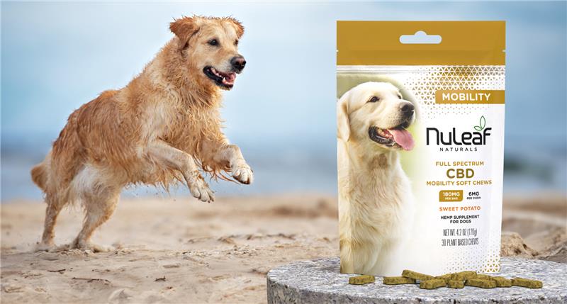 Paws and Peace: Why Your Dog Will Love NuLeaf Naturals’ New CBD Treats