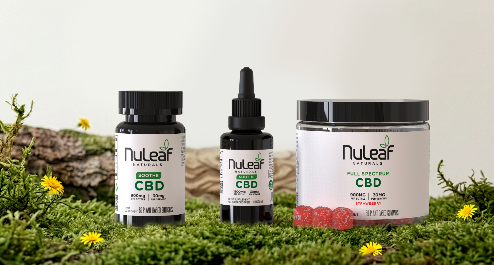 Spring Into Better Wellness