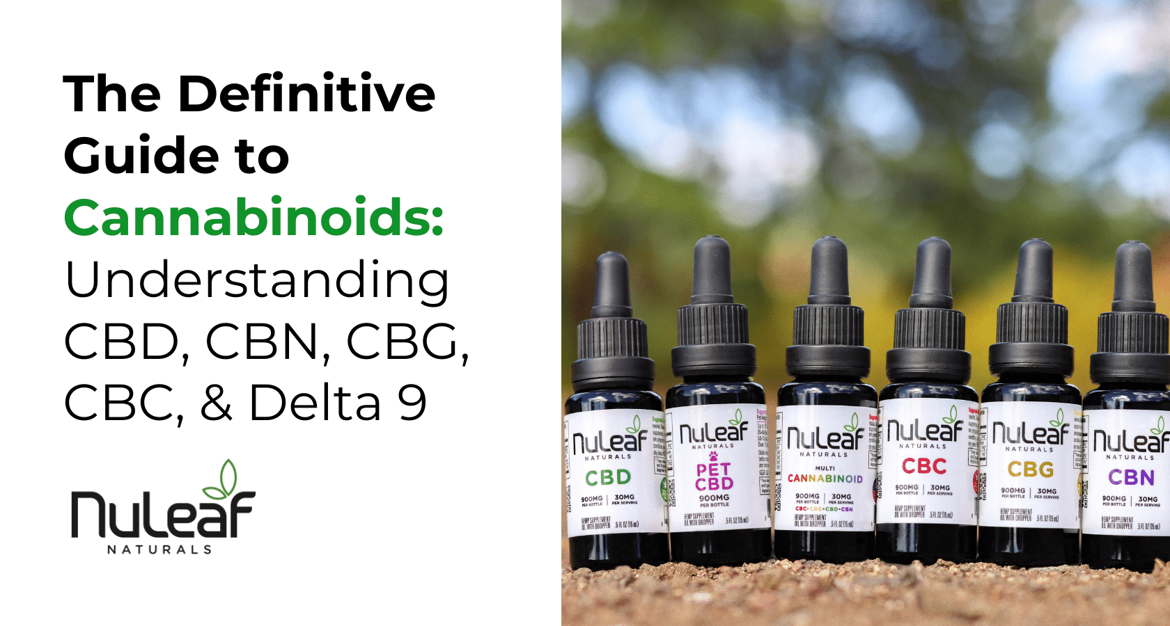 Cannabinoids Explained: CBD, CBN, CBG, CBC & More