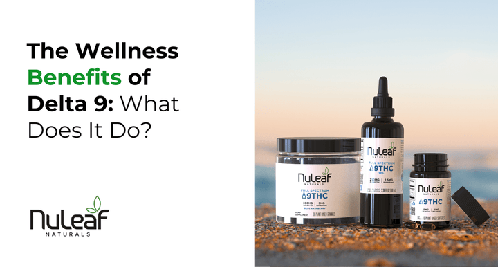 What Does Hemp-Derived Delta 9 Do? A Guide to Wellness Benefits*