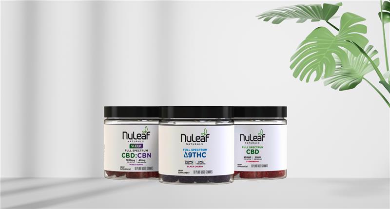 The Gummy Bundle: A Science-Backed Adventure in Personalized Biology