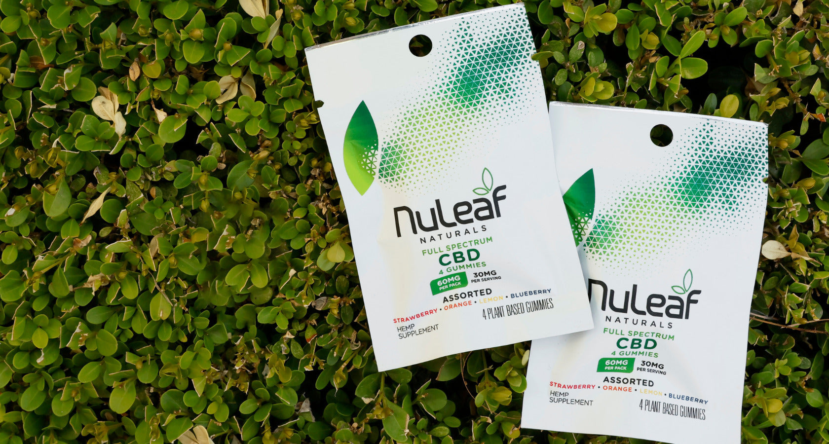 The Science of Convenience: Why 4-Pack Gummy Packs Are the Future of Your Wellness Routine