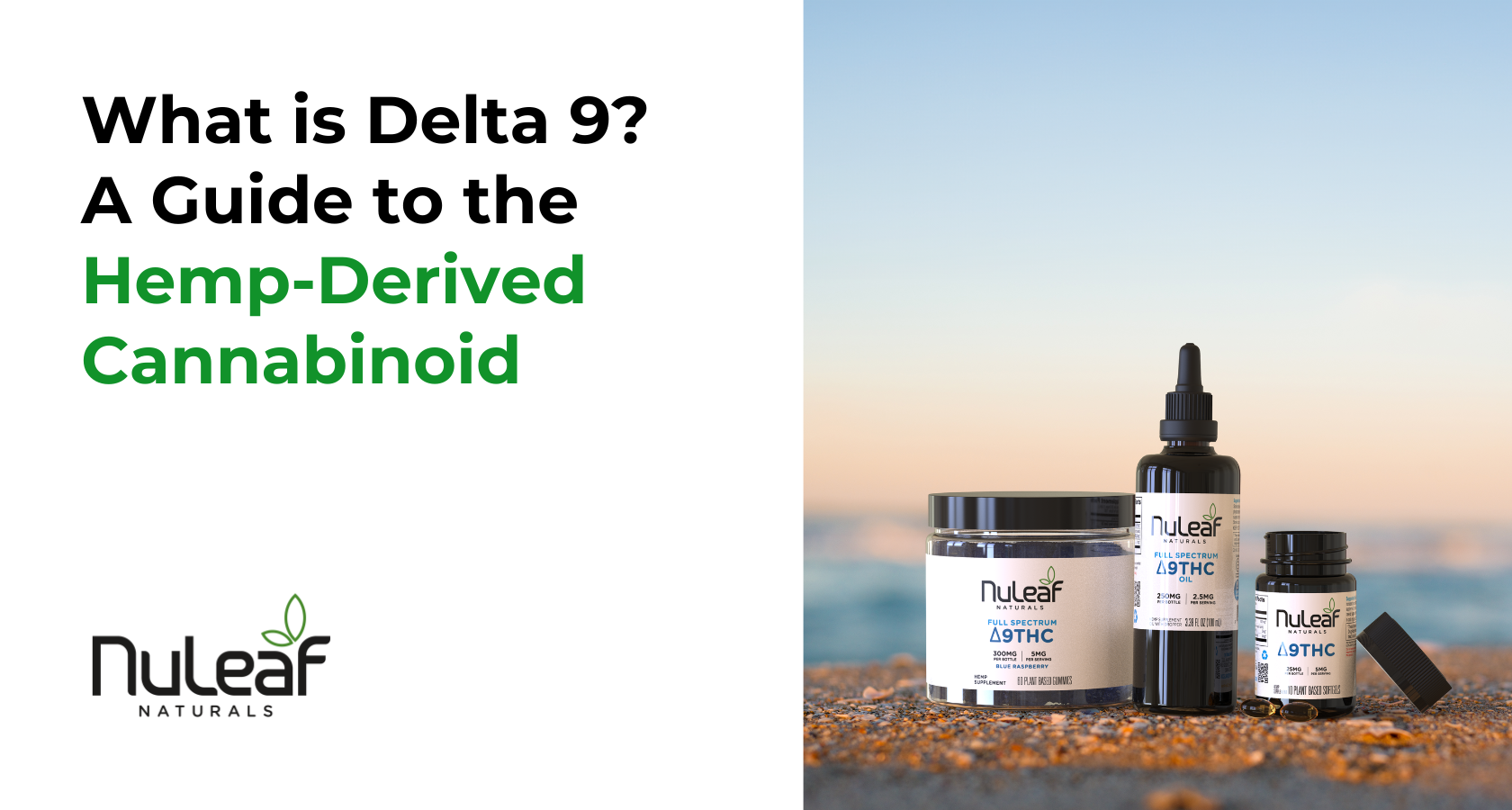 What is Delta 9? A Guide to the Hemp-Derived Cannabinoid