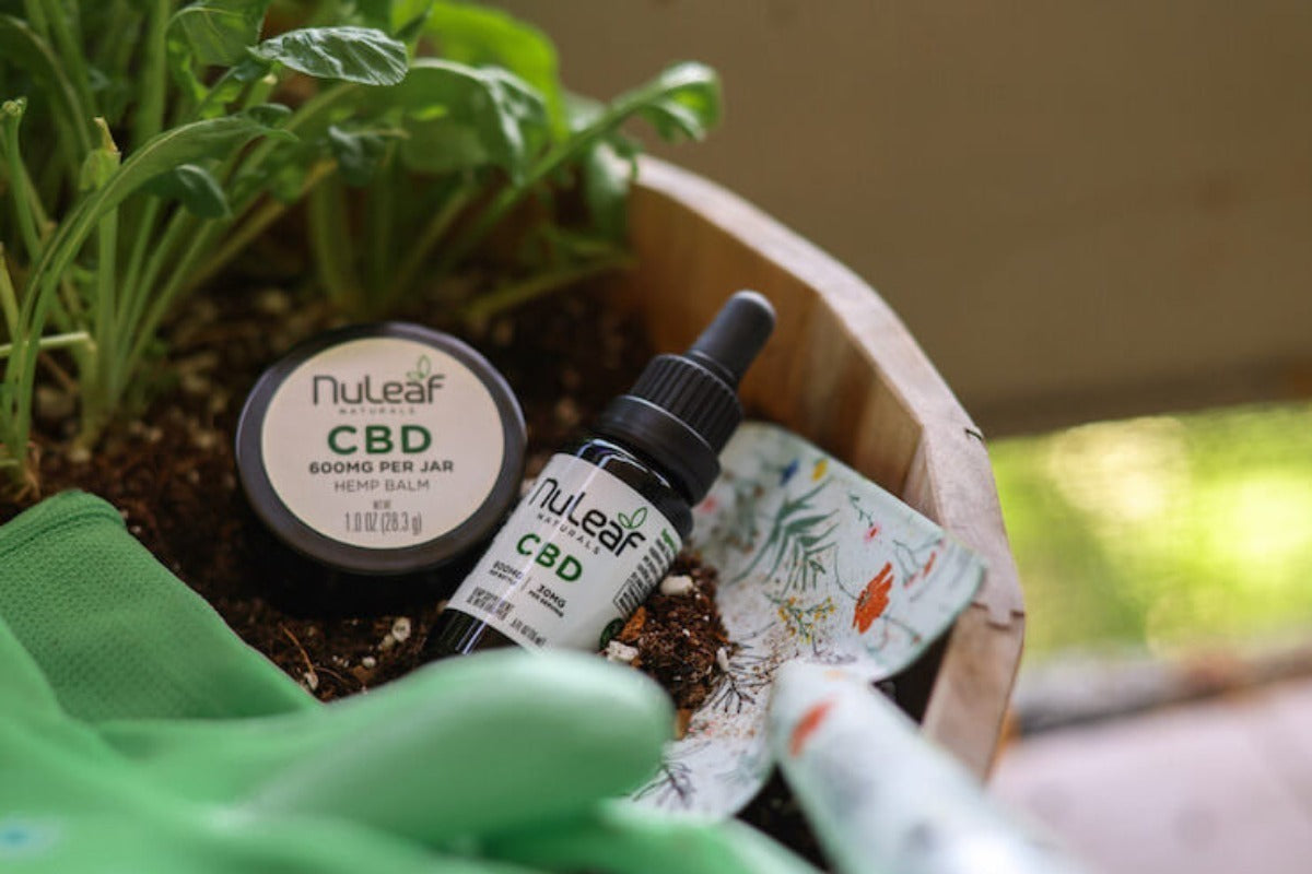 CBD for Pain: Guide to Using CBD and Other Cannabinoids for Pain Management