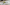 The Future is Now: CBD Market Trends, Innovations, and the Road to Mainstream
