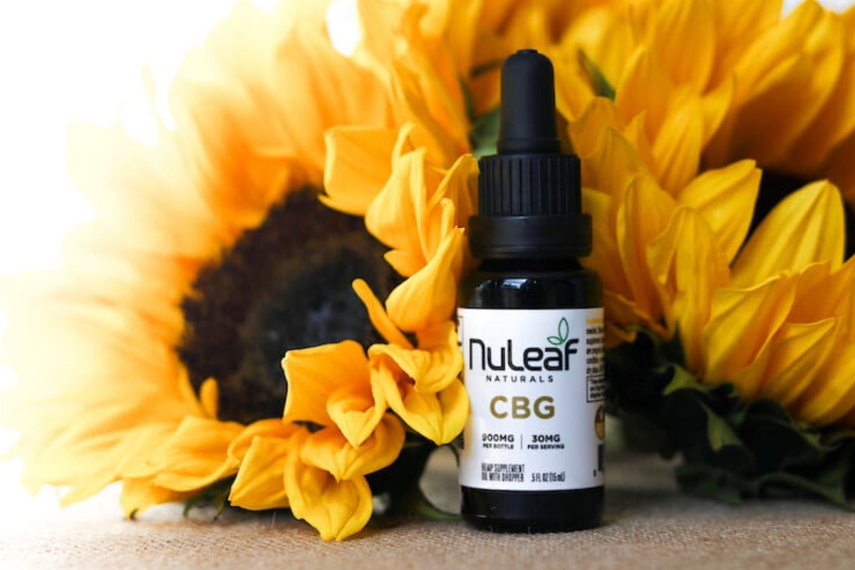 How to Improve Gut Health Naturally with CBG