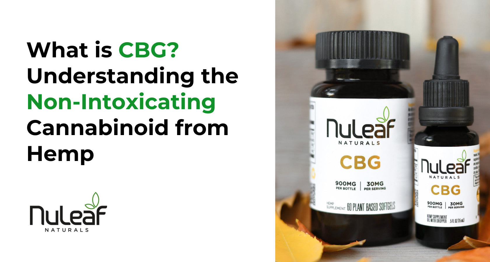 What is CBG? Understanding the Non-Intoxicating Cannabinoid from Hemp