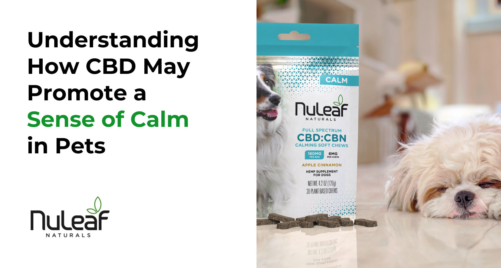How CBD May Promote a Sense of Calm in Pets