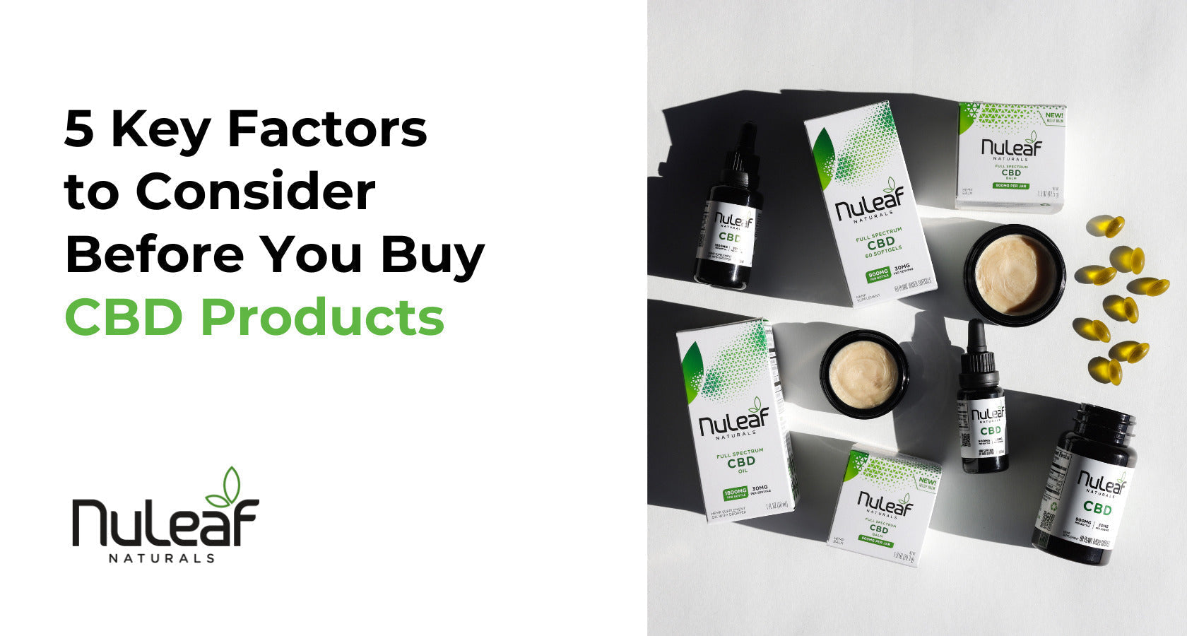 5 Key Factors to Consider Before You Buy CBD Products
