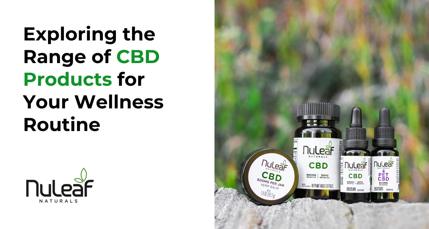 Exploring the Range of CBD Products for Your Wellness Routine