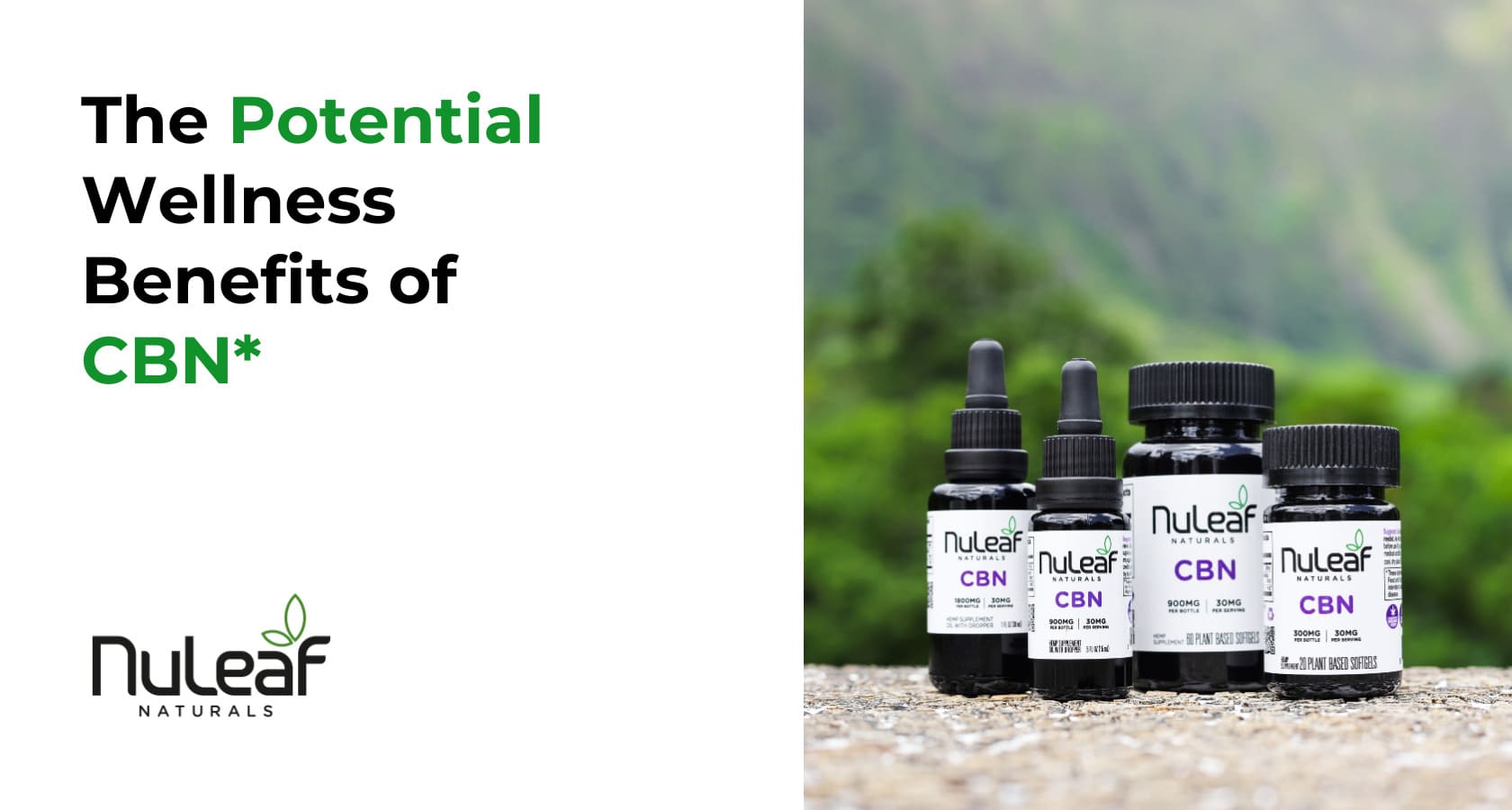 The Potential Wellness Benefits of CBN*