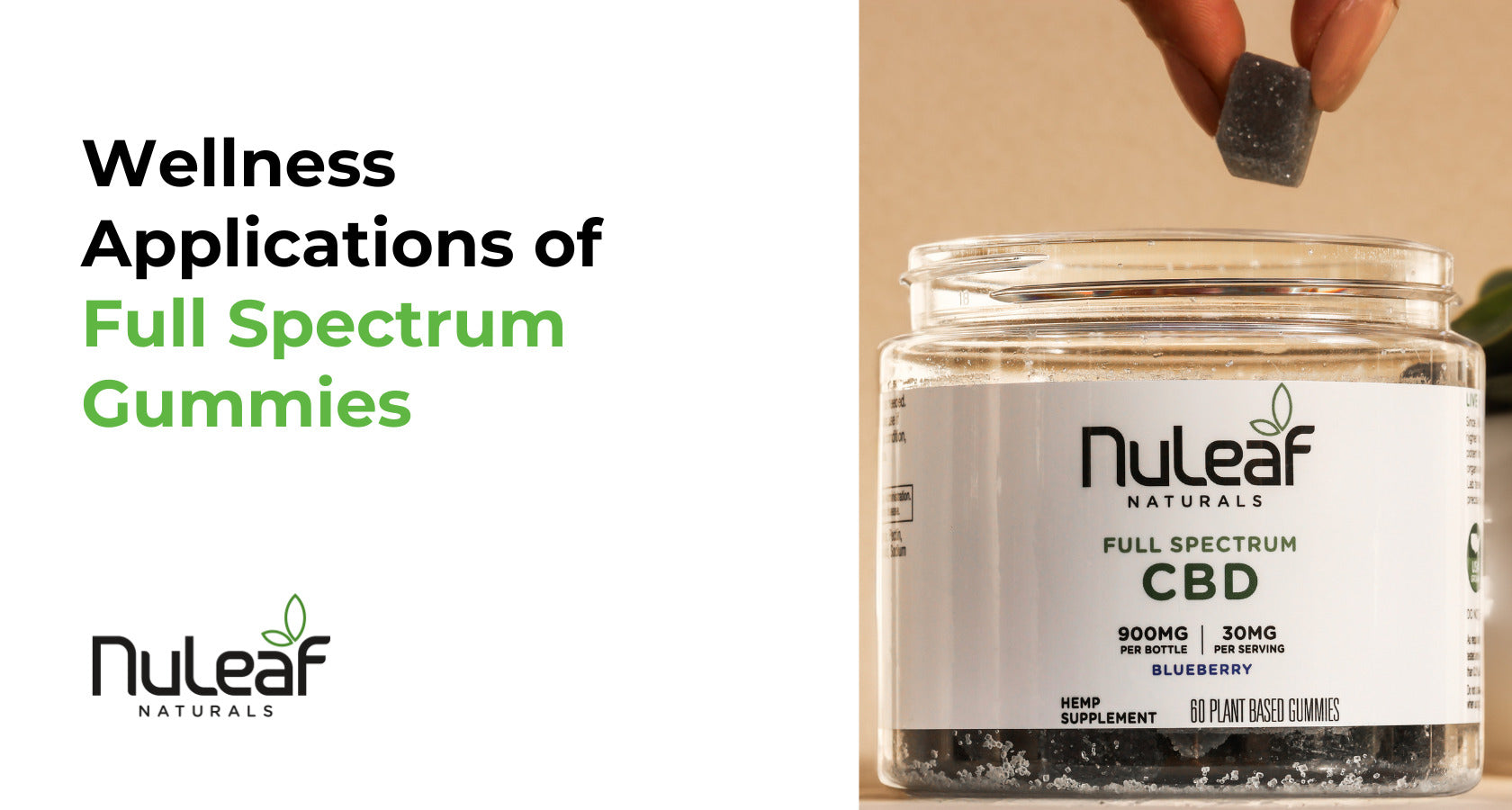 The Complete Guide to Full Spectrum CBD Gummies