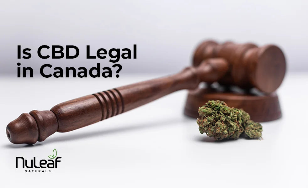 is cbd legal in canada