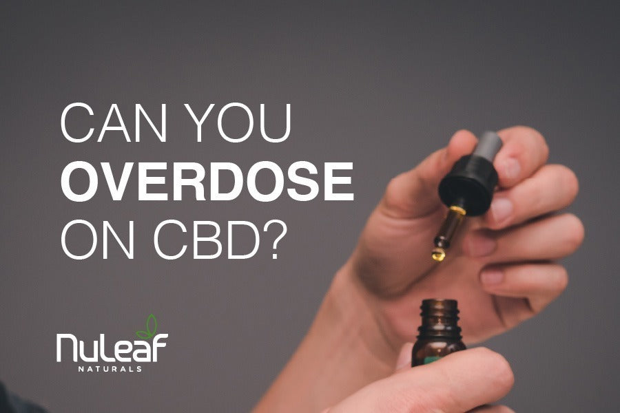 Is It Possible to Overdose on CBD?