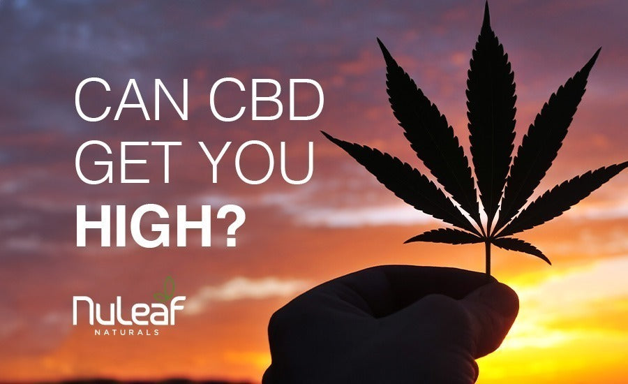 can cbd get you high