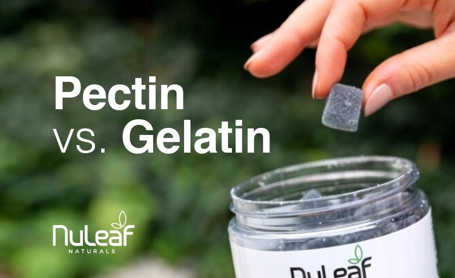pectin vs gelatin
