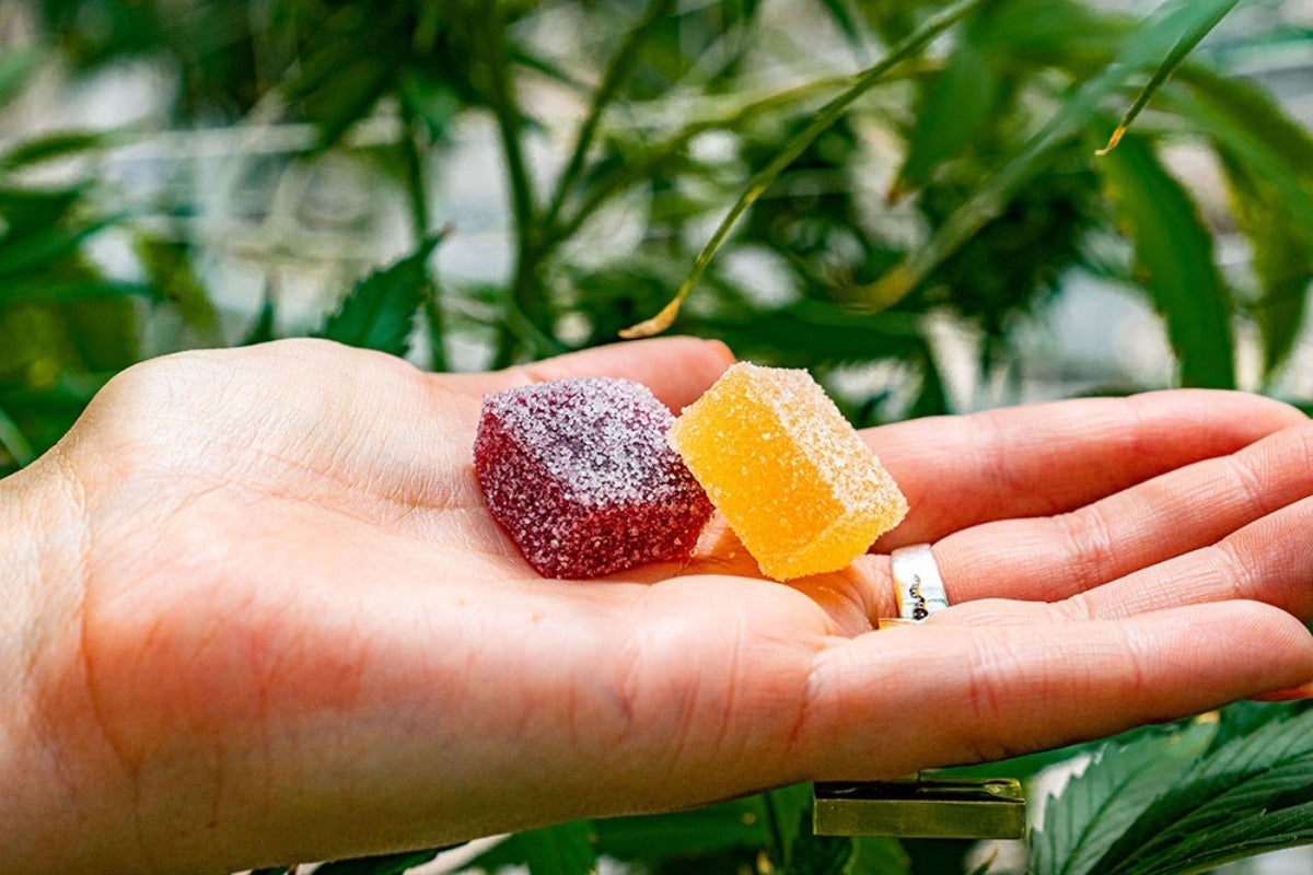 How Long Do Edibles Stay in Your System?