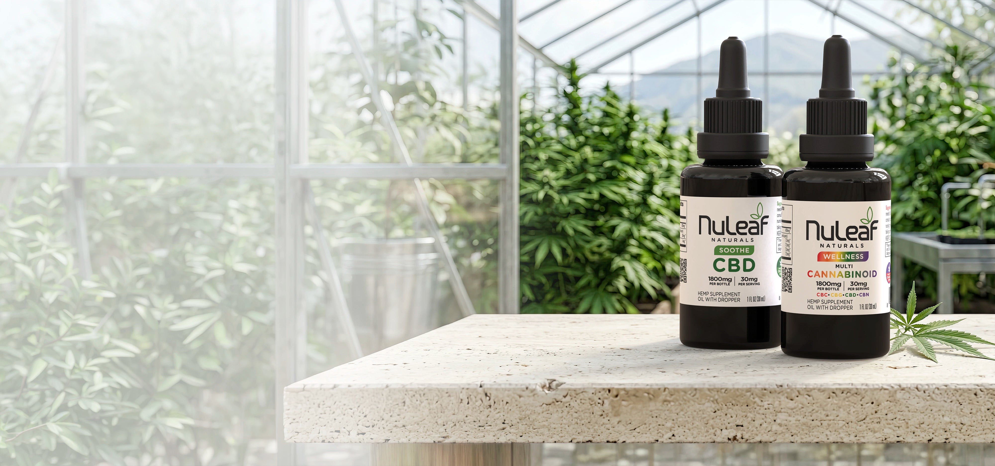 <p>Modern Hemp<br/>Wellness Starts Here</p>