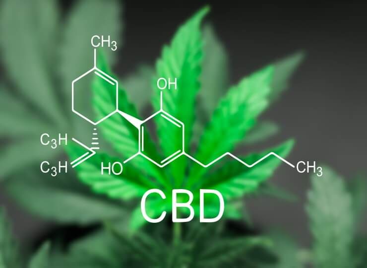 CBD facts you should know