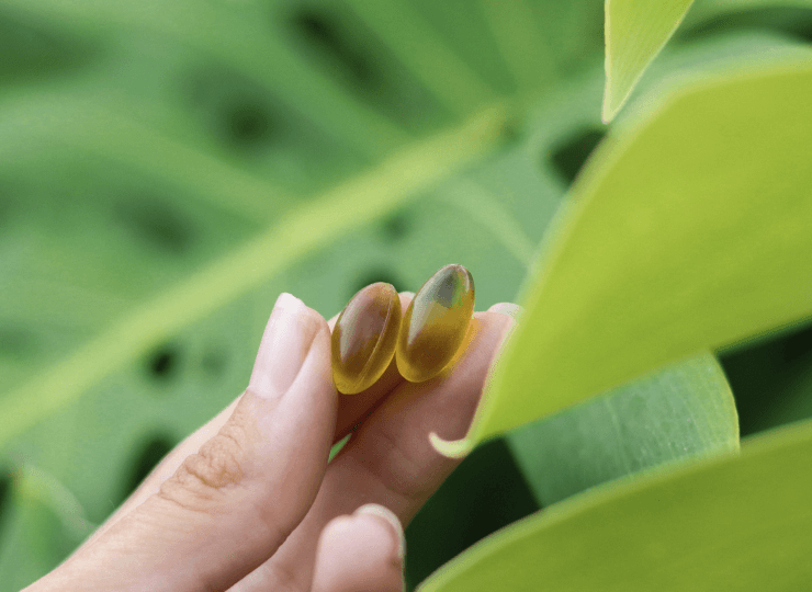 CBD Softgels vs. CBD Capsules What's the Difference and Which Is Best