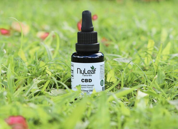 CBD Softgels vs. CBD Capsules What's the Difference and Which Is Best