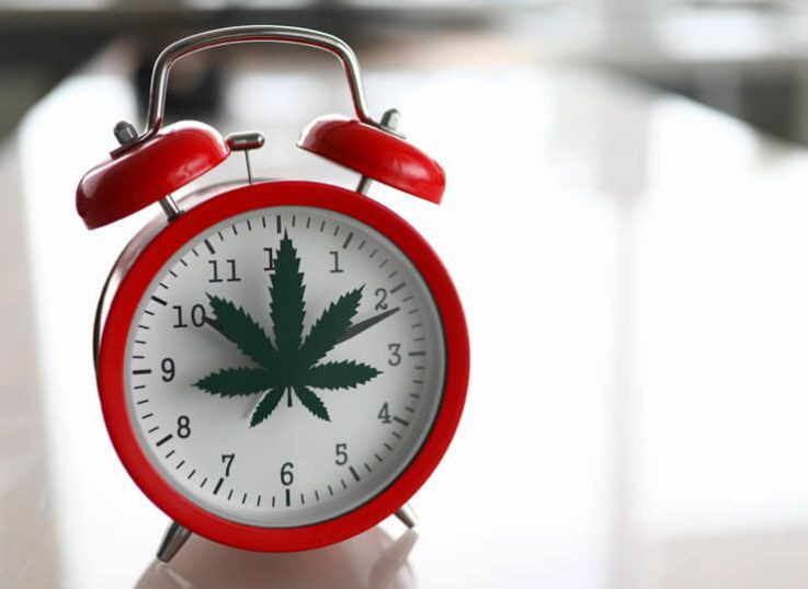 Does CBD Oil Expire? The Shelf Life of CBD Oil Explained