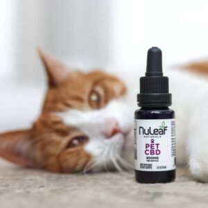 cat laying next to a bottle of pet cbd oil