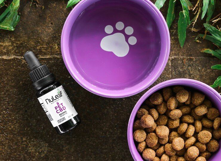 cbd oil for pets next to a bowl of dog food