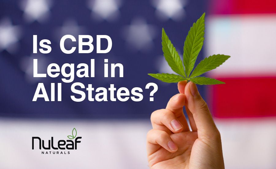 is cbd legal in all states