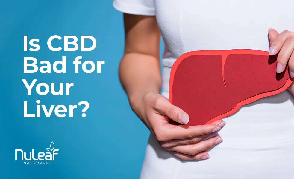 is cbd bad for your liver