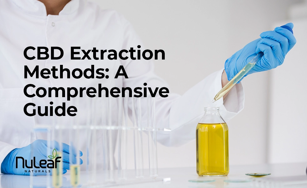 cbd extraction methods comprehensive guide