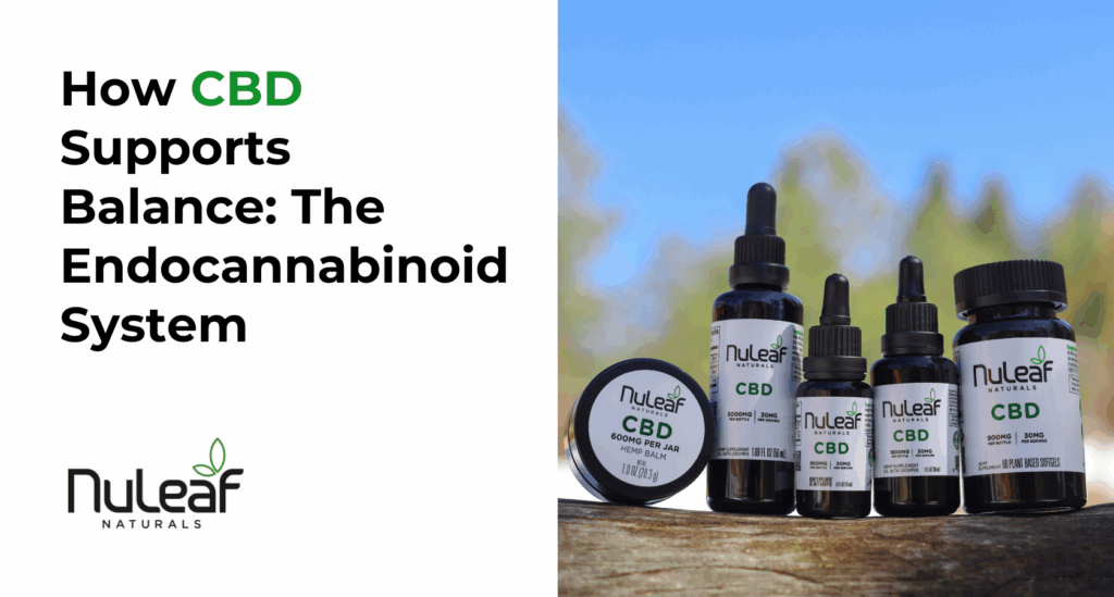 The Endocannabinoid System