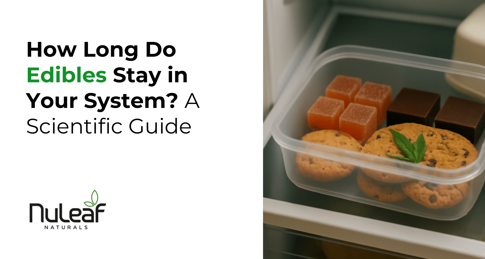 How Long Do Edibles Stay in Your System?