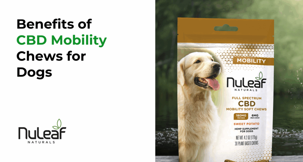 Benefits of CBD Mobility Chews for Dogs
