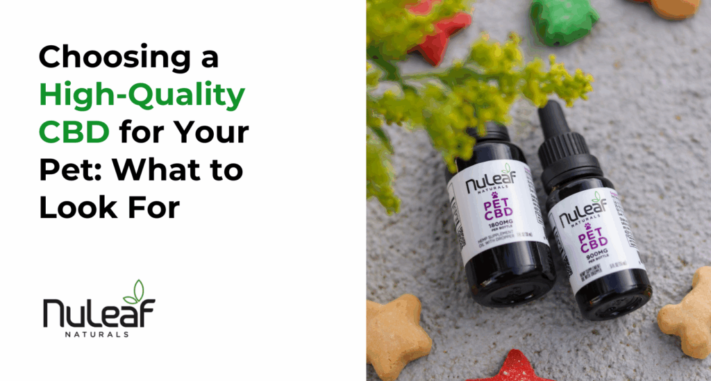 Choosing a High-Quality CBD for Your Pet