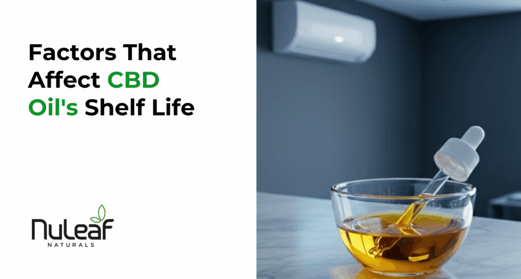 Factors That Affect CBD Oil's Shelf Life