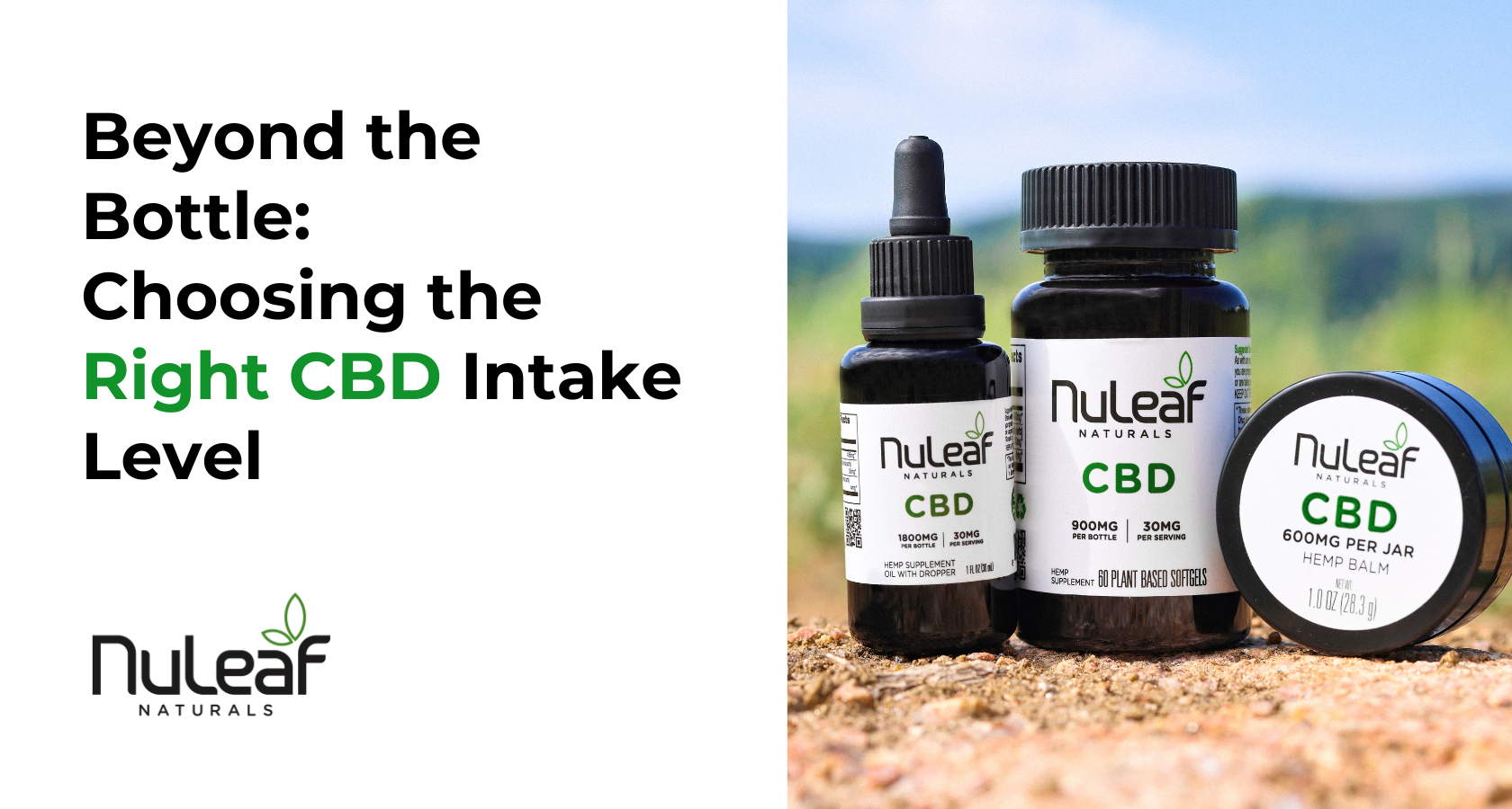Beyond the Bottle: Choosing the Right CBD Intake Level