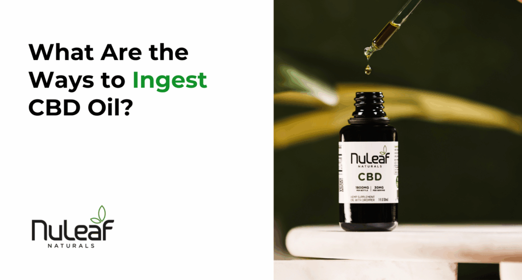 What Are the Ways to Ingest CBD Oil