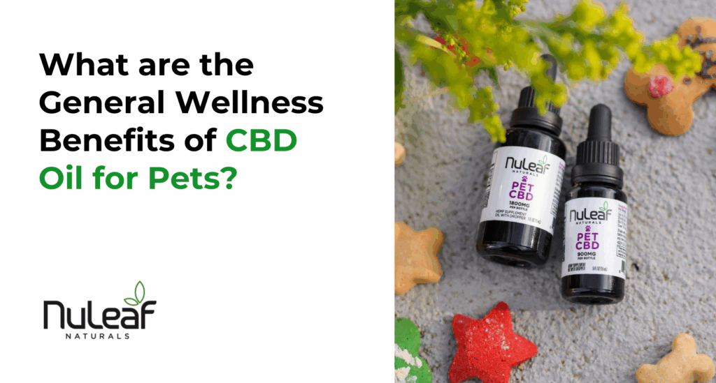 What are the General Wellness Benefits of CBD Oil for Pets
